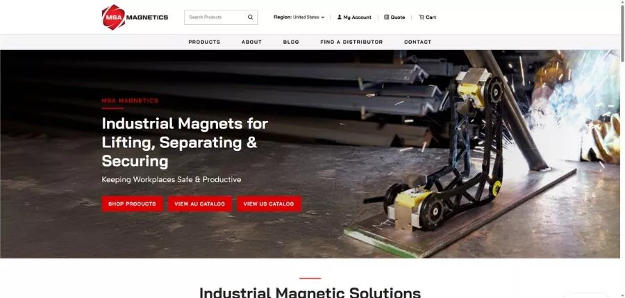 3. MSA Magnetics